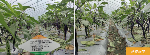 臺州農資 臺州農資